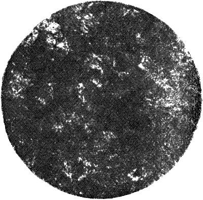 Микрофотография рельсовой стали